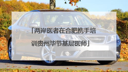 两岸医者在合肥携手培训贵州毕节基层医师