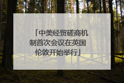 中美经贸磋商机制首次会议在英国伦敦开始举行