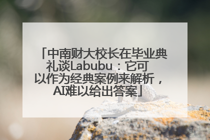 中南财大校长在毕业典礼谈Labubu：它可以作为经典案例来解析，AI难以给出答案