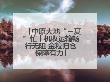 中原大地“三夏”忙丨机收运输畅行无阻 金粒归仓保障有力