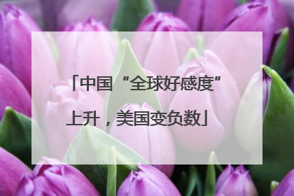 中国“全球好感度”上升，美国变负数