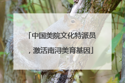 中国美院文化特派员，激活南浔美育基因