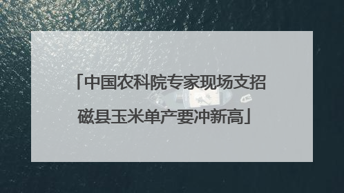中国农科院专家现场支招 磁县玉米单产要冲新高