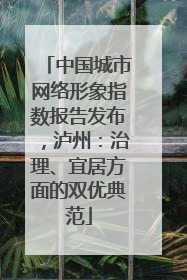 中国城市网络形象指数报告发布，泸州：治理、宜居方面的双优典范