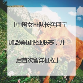 中国女排队长龚翔宇加盟美国职业联赛，开启首次留洋征程
