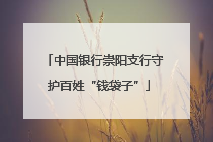 中国银行崇阳支行守护百姓“钱袋子”