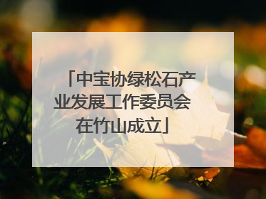 中宝协绿松石产业发展工作委员会在竹山成立