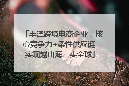 丰泽跨境电商企业：核心竞争力+柔性供应链 实现越山海、卖全球