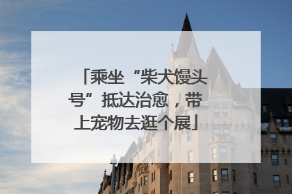 乘坐“柴犬馒头号”抵达治愈，带上宠物去逛个展