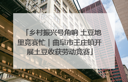 乡村振兴号角响 土豆地里竞赛忙｜曲阜市王庄镇开展土豆收获劳动竞赛