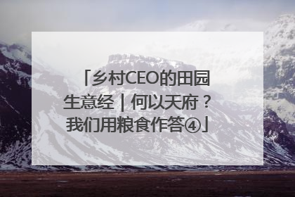 乡村CEO的田园生意经｜何以天府？我们用粮食作答④