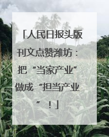 人民日报头版刊文点赞潍坊：把“当家产业”做成“担当产业”！