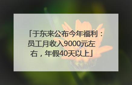 于东来公布今年福利：员工月收入9000元左右，年假40天以上
