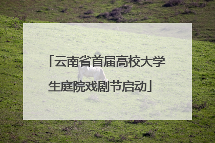 云南省首届高校大学生庭院戏剧节启动