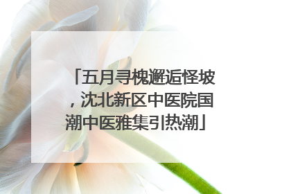 五月寻槐邂逅怪坡，沈北新区中医院国潮中医雅集引热潮