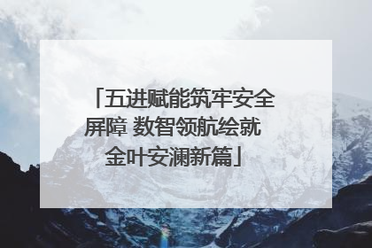 五进赋能筑牢安全屏障 数智领航绘就金叶安澜新篇