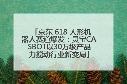 京东 618 人形机器人赛道爆发：灵宝CASBOT以30万级产品力搅动行业新变局