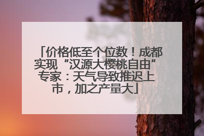 价格低至个位数！成都实现“汉源大樱桃自由” 专家：天气导致推迟上市，加之产量大