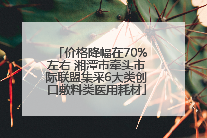 价格降幅在70%左右 湘潭市牵头市际联盟集采6大类创口敷料类医用耗材