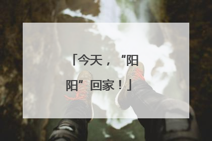 今天，“阳阳”回家！
