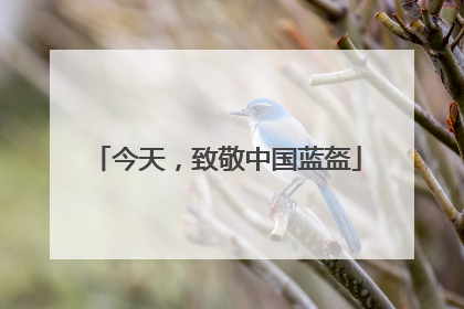 今天，致敬中国蓝盔