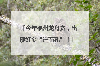 今年福州龙舟赛，出现好多“洋面孔”！