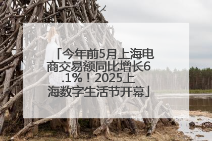 今年前5月上海电商交易额同比增长6.1%！2025上海数字生活节开幕