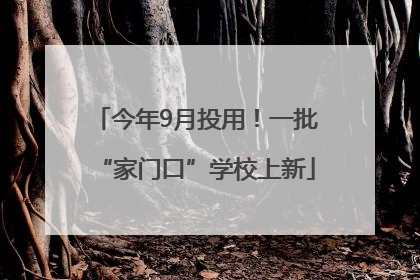 今年9月投用！一批“家门口”学校上新