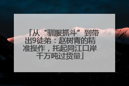 从“驯服抓斗”到带出9徒弟：赵树青的精准操作，托起同江口岸千万吨过货量