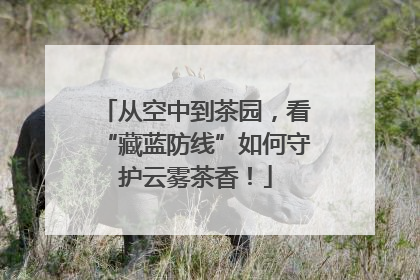 从空中到茶园，看“藏蓝防线”如何守护云雾茶香！