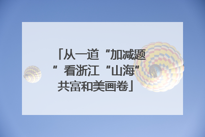 从一道“加减题”看浙江“山海”共富和美画卷