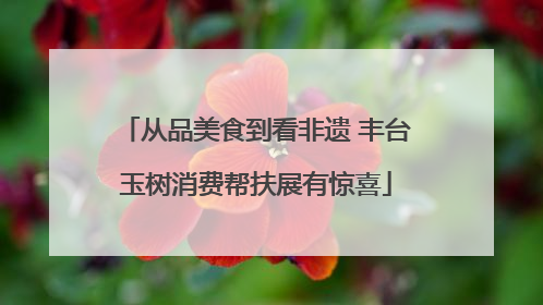 从品美食到看非遗 丰台玉树消费帮扶展有惊喜