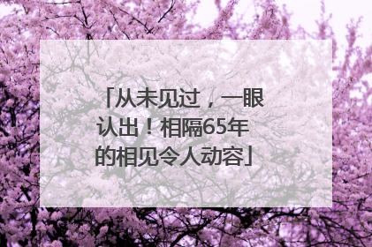 从未见过，一眼认出！相隔65年的相见令人动容