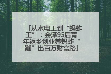 从水电工到“蚂蚱王”：会泽95后青年返乡创业养蚂蚱“蹦”出百万财富路
