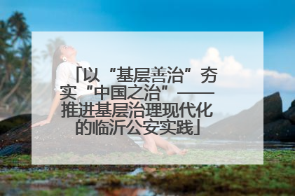 以“基层善治”夯实“中国之治”——推进基层治理现代化的临沂公安实践