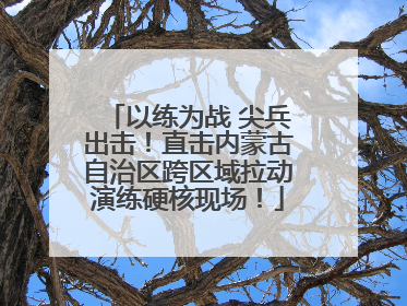 以练为战 尖兵出击！直击内蒙古自治区跨区域拉动演练硬核现场！