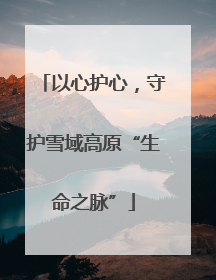 以心护心，守护雪域高原“生命之脉”