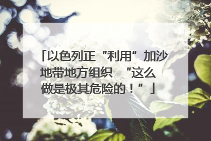 以色列正“利用”加沙地带地方组织  “这么做是极其危险的！”