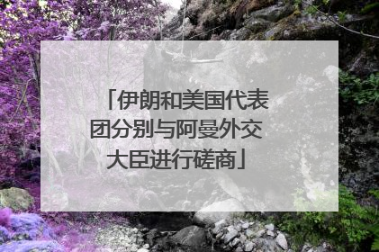 伊朗和美国代表团分别与阿曼外交大臣进行磋商