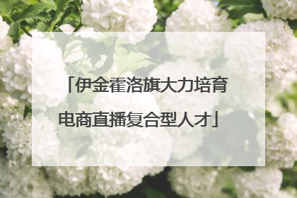 伊金霍洛旗大力培育电商直播复合型人才