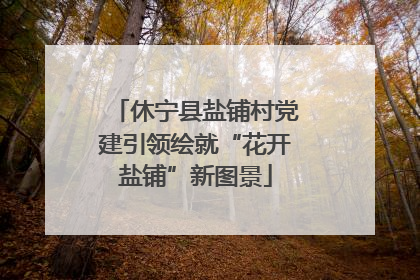 休宁县盐铺村党建引领绘就“花开盐铺”新图景