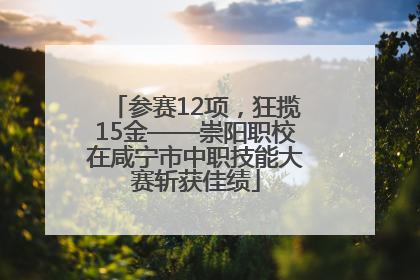 参赛12项，狂揽15金——崇阳职校在咸宁市中职技能大赛斩获佳绩
