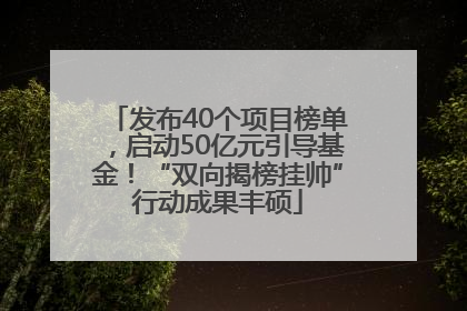 发布40个项目榜单，启动50亿元引导基金！“双向揭榜挂帅”行动成果丰硕