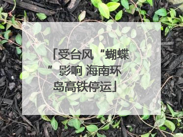 受台风“蝴蝶”影响 海南环岛高铁停运