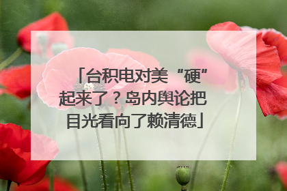 台积电对美“硬”起来了？岛内舆论把目光看向了赖清德