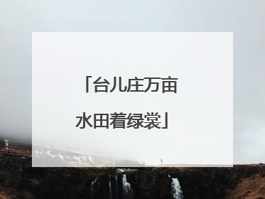 台儿庄万亩水田着绿裳