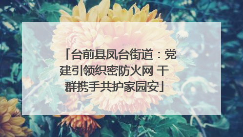 台前县凤台街道：党建引领织密防火网 干群携手共护家园安