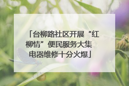 台柳路社区开展“红柳情”便民服务大集 电器维修十分火爆