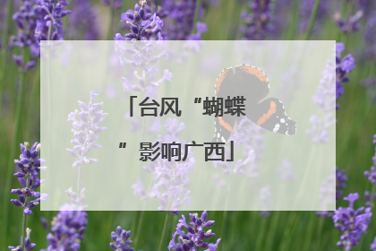 台风“蝴蝶”影响广西