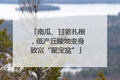 南瓜、甘薯扎根，低产丘陵地变身致富“聚宝盆”